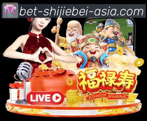 企业概况
